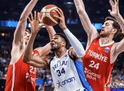 旺财28-包含字母哥在德国队比赛中连败，精彩发挥引发热议！的词条