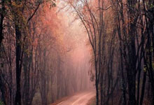 旺财娱乐-欧冠倒计时，切尔西今晚刷新队史纪录，细节引发关注，态度坚定，资深球员宣示担当的简单介绍